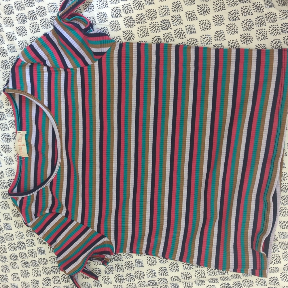 Multicolor Striped Ribbed Top